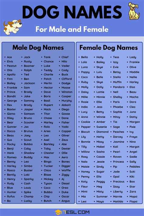 Dog Names 100 Most Popular Male And Female Dog Names • 7esl
