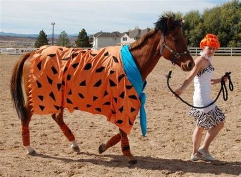 Amazing Horse And Rider Costumes The Original Mane N Tail Animal