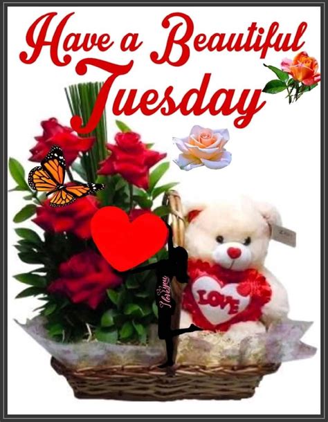 Teddy Bear Beautiful Tuesday Quote Pictures, Photos, and Images for ...