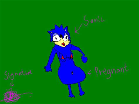 Pregnant Sonic By Hero Potter On Deviantart