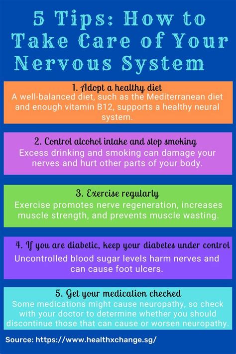 5 Tips How To Take Care Of Your Nervous System Artofit