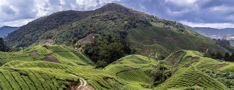 0 watchers300 page views1 deviation. Malaysia Travel Guide