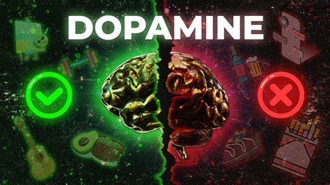 Your Brains Secret Sauce The Power Of Dopamine Youtube