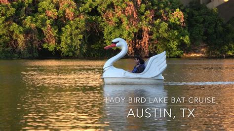 Austin Texas Lady Bird Lake Bat Cruise Youtube