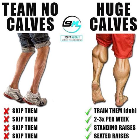 8 Mistakes That Are Keeping Your Calves Small GymGuider Com Calf