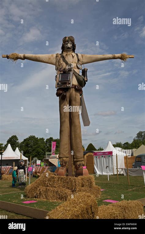 East Molesey Uk 29th June 2015 Huge Scarecrow At Hampton Court