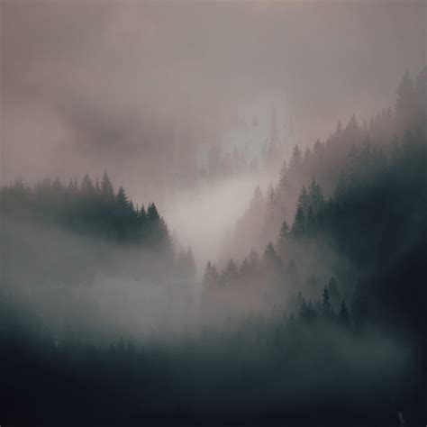 Download Wallpaper 2780x2780 Fog Forest Trees Hills Ipad Air Ipad
