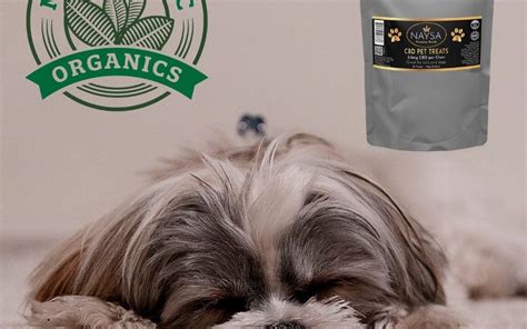 Enhancing the journey with your pet. CBD Pet Treats for dogs and cats | Nature's Arc Organics
