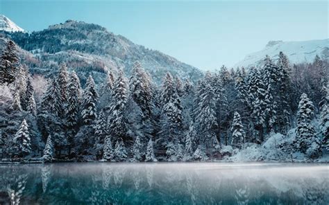 Download Wallpapers Winter Frost Morning Mountain Landscape Snow