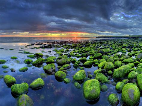 Iceland Wallpaper Hd Mossy Rocks Sunset Beach Nature