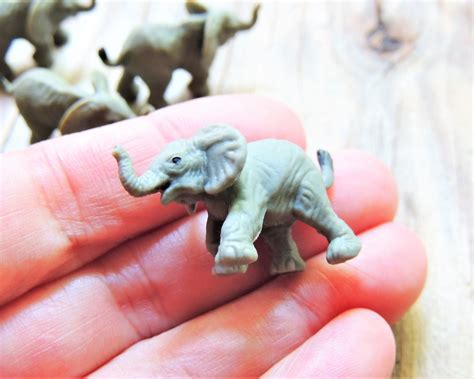 Real Miniature Elephant