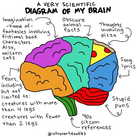 My Brain Introvert Doodles