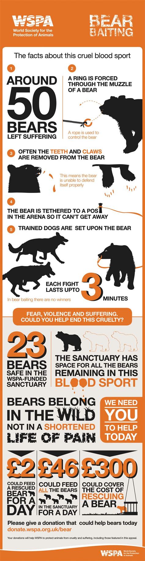 Maybe you would like to learn more about one of these? 29 best Bear sanctuary in Roumania founded by WSPA images ...