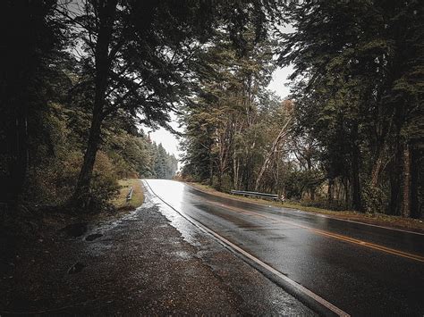 Empty Road Between Trees Hd Wallpaper Peakpx