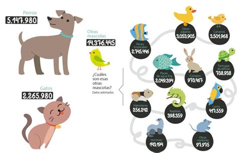 ¿cuántas Mascotas Hay En España