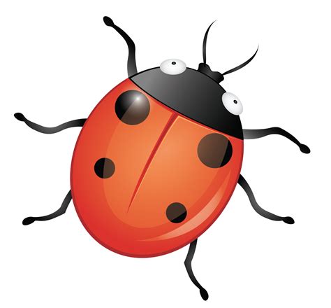 Lady Bug Cartoon Picture Fondos De Pantalla De Prodigiosa Ladybug