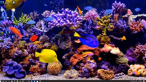 The Best 4k Aquarium Wallpaper Engine Free Download Wallpaper Engine