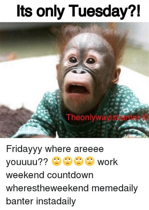 Find the newest tuesday work meme meme. Tuesday Meme - Funny Happy Tuesday Pictures