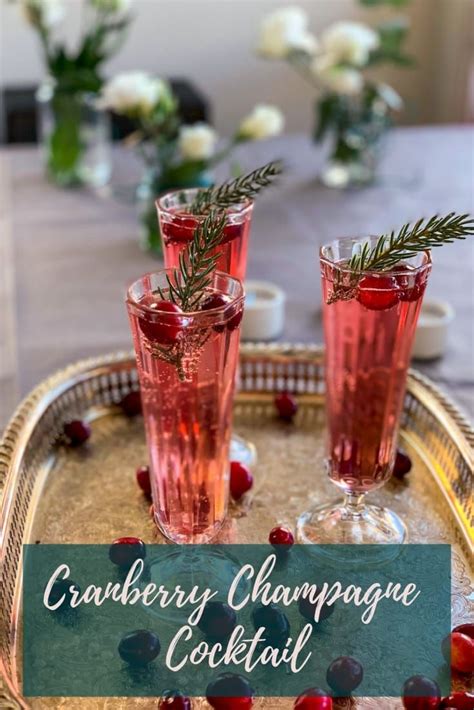 .festive christmas anniversary alcohol alcoholic alcoholic drinks background beverage bubbly campaign celebration celebration event champagne champaigne drop exploding gold liquid liquid. A Cranberry Champagne Cocktail is the perfect holiday ...