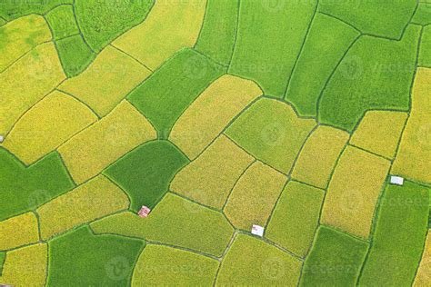 Aerial View Of The Green And Yellow Rice Field 2305092 Stock Photo At