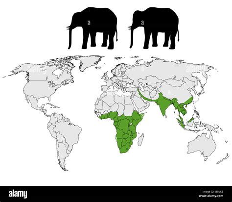 Where Do Elephants Live Map