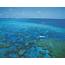 Great Barrier Reef Tours  Cairns Discovery