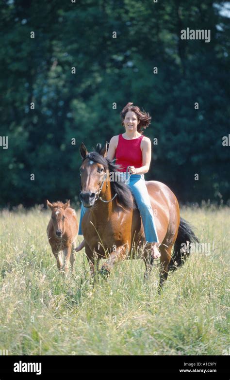 Reiten Ohne Sattel Auf Einem Pferd Fotos Und Bildmaterial In Hoher Auflösung Alamy