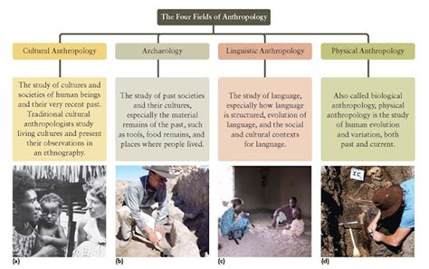 Digital Anthropology 0 Introduction To Anthropology