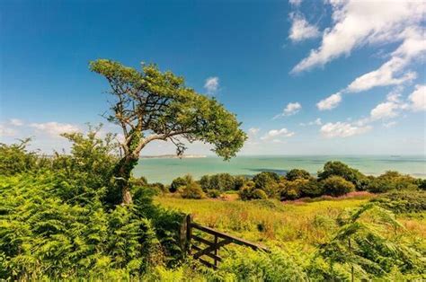 The Top Isle Of Wight Parks To Check Out