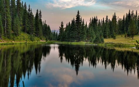 Download Wallpaper 3840x2400 Trees Forest Lake Reflection Nature 4k