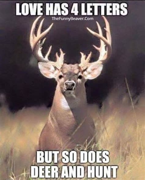 Funny Pictures Deer Hunting Humor Funny Hunting Pics Hunting Humor