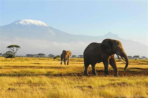 Tour Safari De 10 Días Kilimanjaro Arusha Tarangire Serengeti
