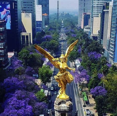 Ángel De La Independencia En Paseo De La Reforma Cdmx Fotos De Mexico