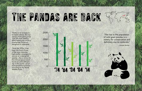 The Pandas Are Back On Behance
