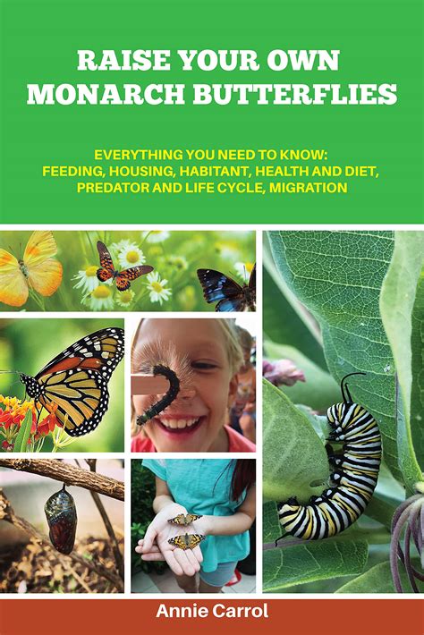 Buy Raise Your Own Monarch Butterflies Everything You Need To Know