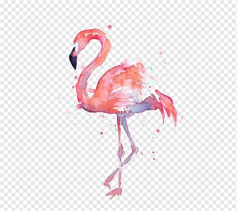 Desenho de flamingos flamingos aquarela ilustração png PNGWing