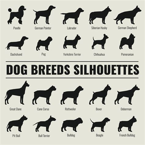 Dog Breeds Vector Silhouettes Set By Microvector Thehungryjpeg