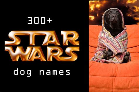 300 Star Wars Dog Names