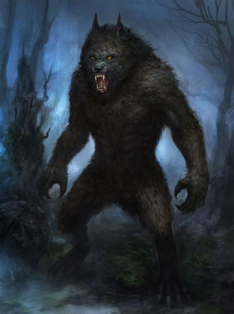 Werewolf Werewolf Art Werewolf Vampires And Werewolves