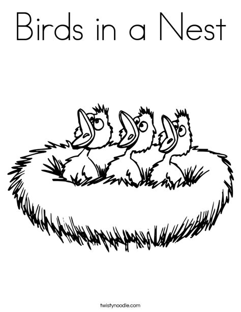 Attract birds by offering the best nesting material that will encourage them to build nests in your backyard. Birds in a Nest Coloring Page - Twisty Noodle