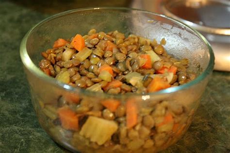 Maybe you would like to learn more about one of these? lentils | Dog food recipes, Lunch