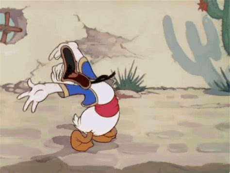 Funny Donald Duck Pictures Laugh Cartoon Disney Animation Disney 