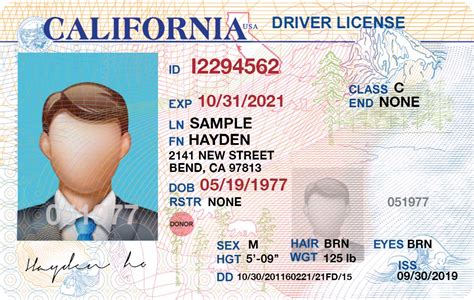 California Drivers License Template Psd New 2019 Premium Fake
