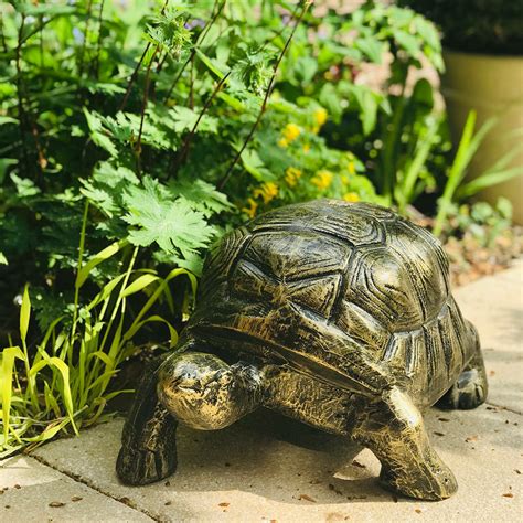 Garden Tortoise Ornaments Shoptortoise Statue Candle And Blue