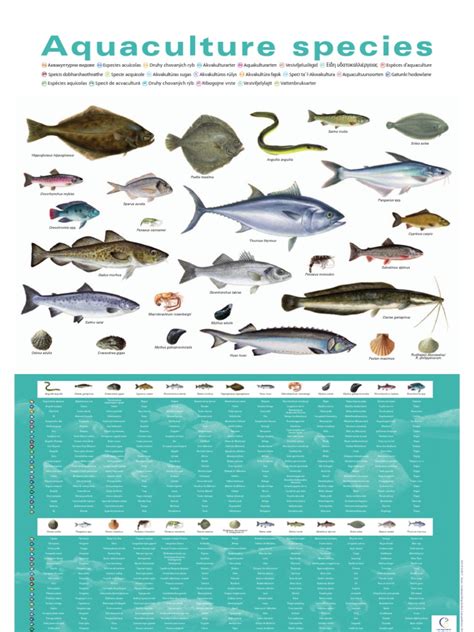 Ue Aquaculture Species Poster Pdf