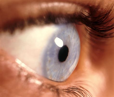 Side View Of A Womans Healthy Blue Eye Photograph By David Parker