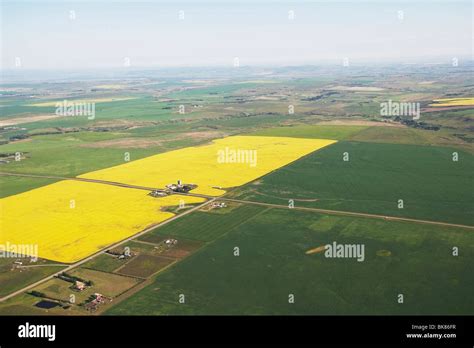 Aerial Canola Field Canada Hi Res Stock Photography And Images Alamy