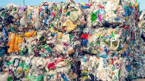 Mari Kenali Jenis Jenis Sampah Dan Dampaknya Ilmu Sekolah Riset Riset