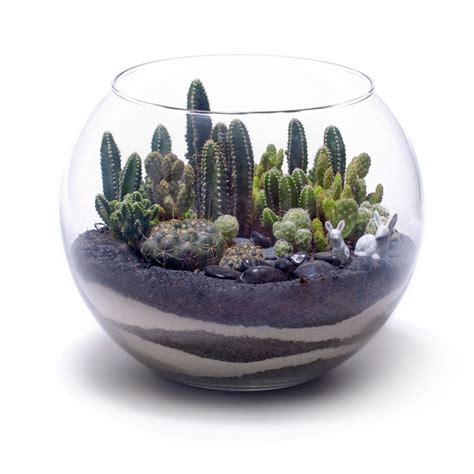 Learn how to plant this colorful dish garden filled with an assortment of cacti. Med fish bowl terrarium | Ideas for decorative house ...