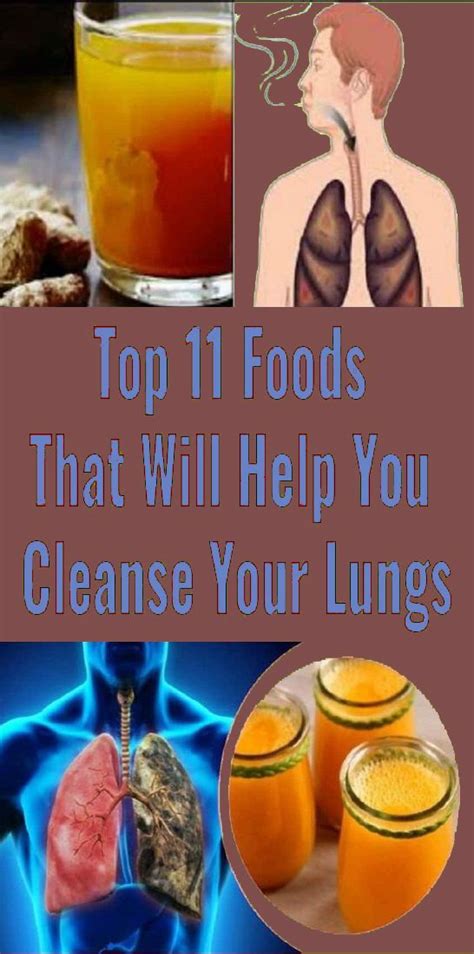 16, 17 berry juice can replace an unhealthy snack or accompany a meal. Top 11 Foods That Will Help You Cleanse Your Lungs ...